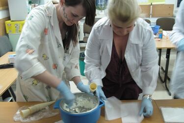 Super bohaterowie i super moce. Trwają zapisy na Dzień Młodego Naukowca