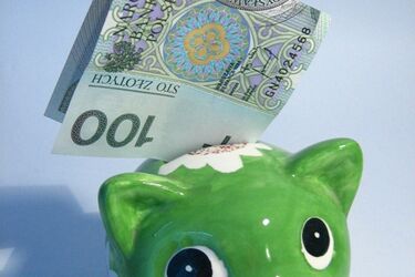 Czy prowadzenie banku na pewno się opłaca? Ciekawy kurs