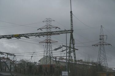 Silne podmuchy wiatru w naszym województwie. Są straty