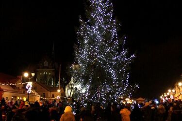 Święty Mikołaj zapalił lampki na miejskiej choince [ZDJĘCIA]
