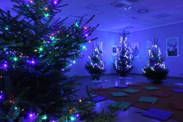 Przygotuj ozdoby świąteczne i ubierz choinkę. Drzewka już czekają