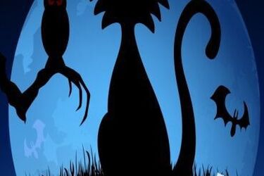 Noc Biologów. Trwają zapisy na wykłady, zabawy i pokazy dla dzieci
