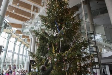 W foyer Opery stanęła choinka