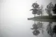Pogoda na sylwestra: temperatura wciąż na plusie