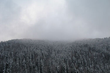 Pogoda na Nowy Rok