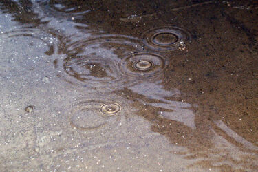 Pogoda na dziś: ciepło i deszczowo