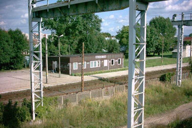 Mam inne zdanie. Starosielce jakich nie znasz! [FELIETON]