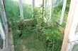 Marihuana na bóle stawów. Pomysłowy student z zarzutami