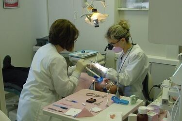 Asystentka stomatologiczna, opiekun medyczny i specjalista IT. Bezpłatne szkolenia