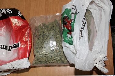 Zatrzymani za marihuanę. Narkotyki trzymali w reklamówce