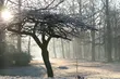 Pogoda na dziś: słońce i dodatnia temperatura