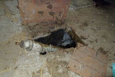 Śmierć małżeństwa w szambie. Prokuratura zakończyła śledztwo