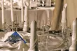 Pomysł na walentynki? - bal dla wszystkich zakochanych 