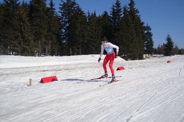 Zarząd województwa ufundował stypendia olimpijskie