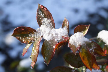 Pogoda na dziś: słońce i możliwe przelotne opady