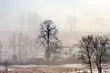 Pogoda na dziś: pochmurno i ponuro