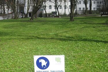 Białostoccy właściciele czwronogów nie dbają o czystość. Kontrole straży miejskiej