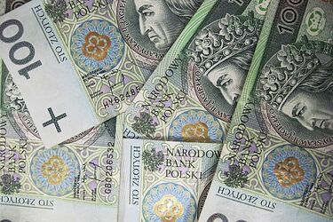 Platforma nie-Obywatelska. Bez uchwały o konsultacjach ws. budżetu obywatelskiego