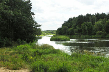 30 podlaskich przedsiębiorców z wizytą w USA