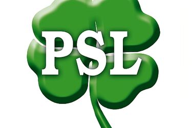 Są listy kandydatów PSL do Parlamentu Europejskiego