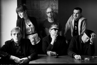 Zion Train, Świetliki, The Dumplings. Pierwsi wykonawcy Dni Sztuki Współczesnej [WIDEO]