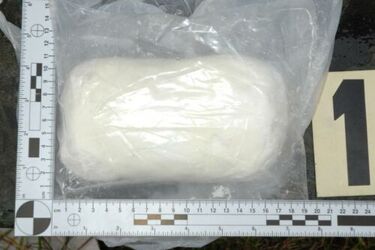 34-latek ukrywał narkotyki w psiej budzie. Straż graniczna znalazła 2 kg amfetaminy