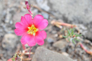 Wiosenny i słoneczny czwartek. Pogoda na dziś