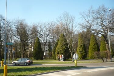 Skwer Lecha i Marii Kaczyńskich w parku Planty będzie na pewno