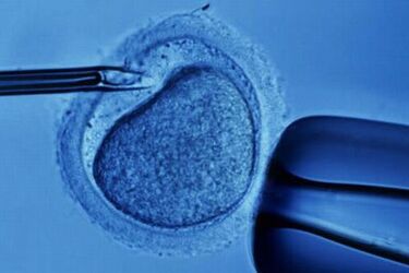 Sukces rządowego programu in vitro! Pierwszy maluch przyszedł na świat