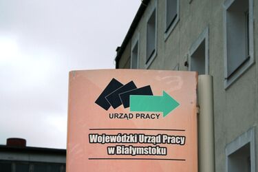 Jak znaleźć pracę? Darmowe warsztaty w WUP
