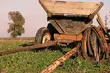 Pijani jechali furmanką przez miasto. Wieźli kradzione drewno