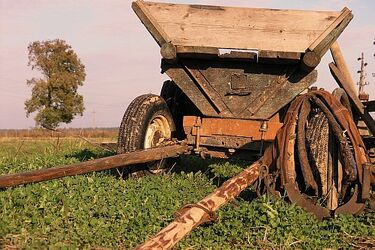 Pijani jechali furmanką przez miasto. Wieźli kradzione drewno