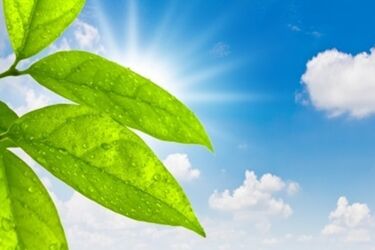 Pogoda na czwartek. Parasole chowamy do szafy