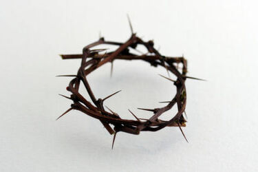 Kościół rozpoczyna obchody Triduum Paschalnego