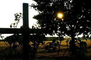 Wielki Piątek to dzień krzyża