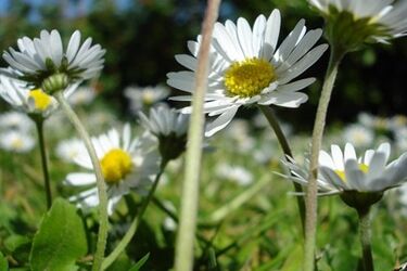 Pogoda na wtorek. Będzie słonecznie i ciepło