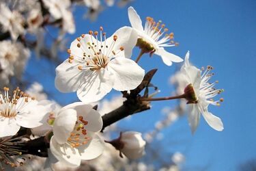 Zapowiada się kolejny ładny dzień