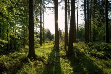 Pogoda na piątek. Ciąg dalszy słonecznej aury