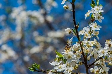 Pogoda na wtorek. Słonecznie, ale może pokropić