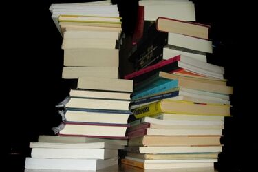 Szansa dla dłużników bibliotecznych. Mogą zwrócić książki bez płacenia kary