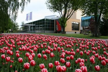 Premiery i festiwal szkół lalkarskich. Intensywne plany Białostockiego Teatru Lalek