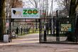 Przewodnik będzie oprowadzał po Akcencie ZOO