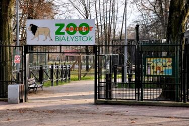 Przewodnik będzie oprowadzał po Akcencie ZOO