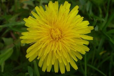 Szykuje się upalny i słoneczny weekend