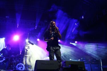 Już po Juwenaliach. Koncert Dżemu zakończył studenckie święto 