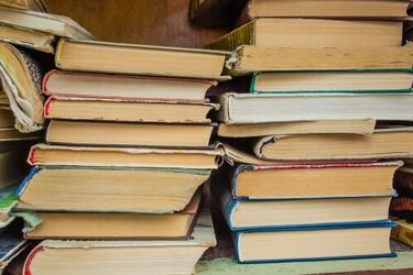 Zbiórka książek i zabawek dla dzieci osadzonych