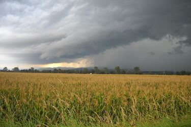 Upalny początek tygodnia