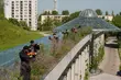 Skrzypkowie zagrali na znanych dachach. Nagrywano spot zapowiadający musical