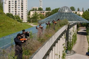 Skrzypkowie zagrali na znanych dachach. Nagrywano spot zapowiadający musical