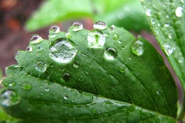 Poniedziałek powita nas ponurą aurą